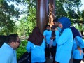 Tn DSC 2014